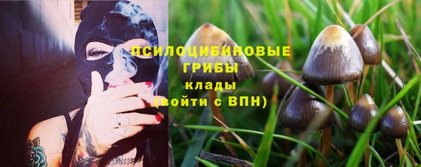 тгк Лихославль
