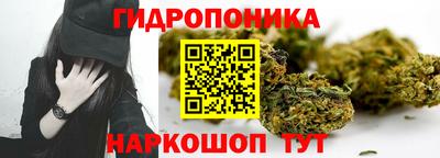 стаф Донецк