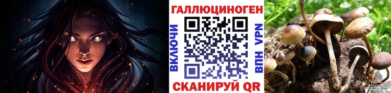 Псилоцибиновые грибы мицелий  цены   Малоярославец 