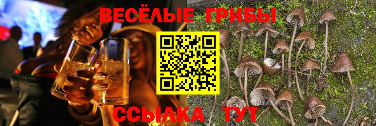 Галлюциногенные грибы Psilocybine cubensis  Малоярославец  Псилоцибиновые грибы Cubensis 