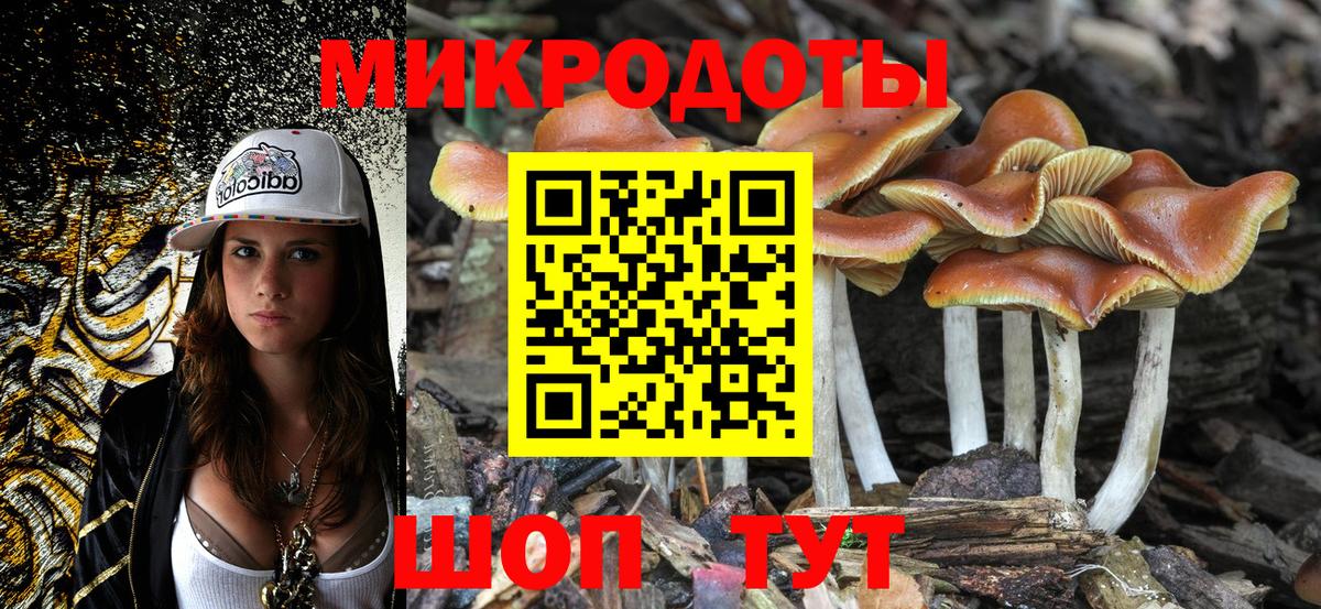 Малоярославец  Псилоцибиновые грибы Cubensis  Вход с VPN  Псилоцибиновые грибы GOLDEN TEACHER 
